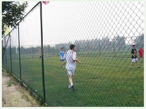 定制足球場圍網(wǎng)隔離網(wǎng)私人定制種類齊全