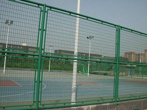 供應(yīng)足球場框架護欄網(wǎng) 勾花體育廠圍網(wǎng) 按需定制