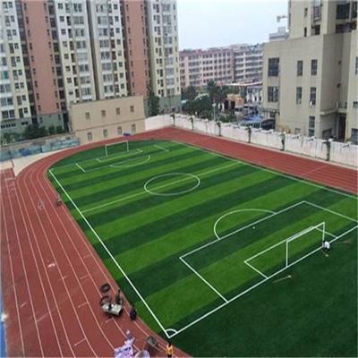 巴中 運(yùn)動(dòng)場(chǎng)人工草坪 假草 鋪裝