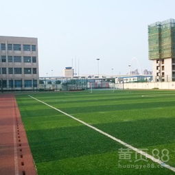 【山東菏澤門球場(chǎng)假草翻新鋪裝價(jià)格仿真草材料】-