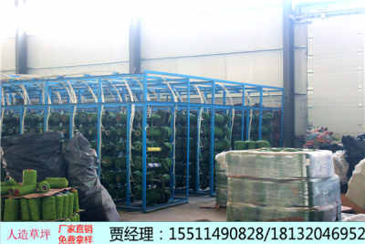 aa新聞 鹿寨縣足球場塑膠草坪多少錢 施工工藝工廠直銷