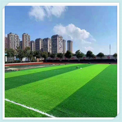 呂梁,學校運動場人工草皮,免填充足球場仿真草,運動場地人工草坪鋪裝