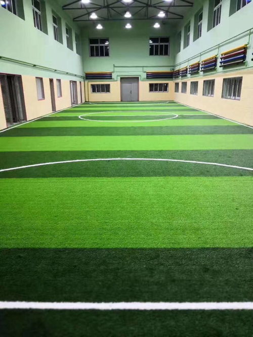 界首人造草坪廠家