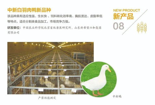 2021中國(guó)農(nóng)業(yè)農(nóng)村重大新技術(shù)新產(chǎn)品新裝備發(fā)布