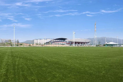 到省運場館輕松學會愛奇免填充人造草足球場施工技巧