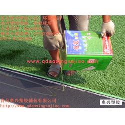 濟寧人造草坪足球場 奧興塑膠鋪裝 人造草坪足球場廠家