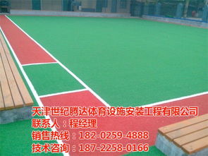 人造草坪施工 世紀騰達 在線咨詢 人造草坪