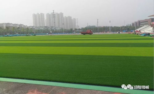 江陰4所學校將有國家新標準操場 年內完工