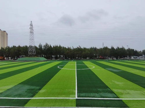速看 齊齊哈爾兩處公益球場即將開放