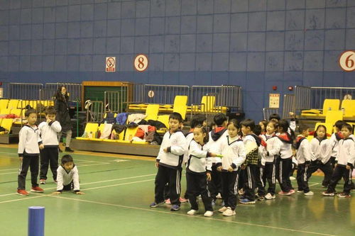 敢動(dòng) 激情 小學(xué)未來(lái)班營(yíng)地研學(xué)活動(dòng)