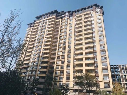 南京精裝現房交付盛況，業主激動難抑，打地鋪共慶新居