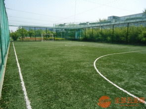 專業樓頂運動場圍網與體育場地鋪裝解決方案